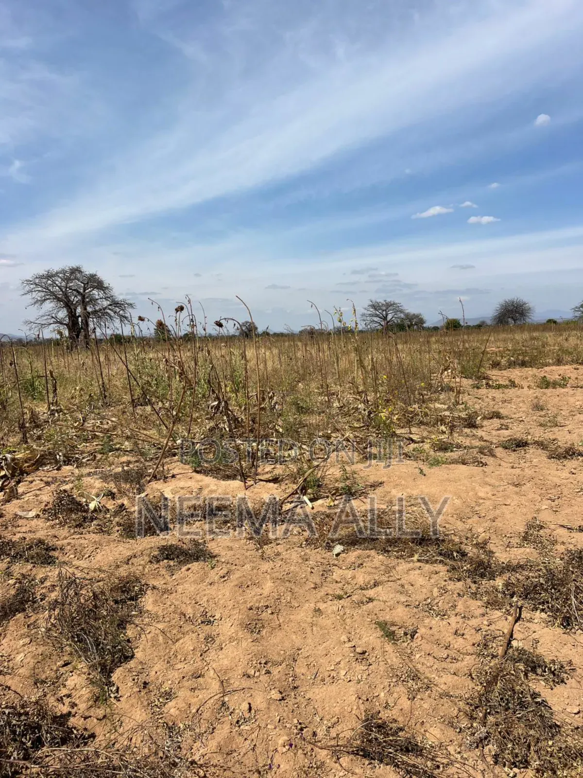 Viwanja Bagamoyo Zinga