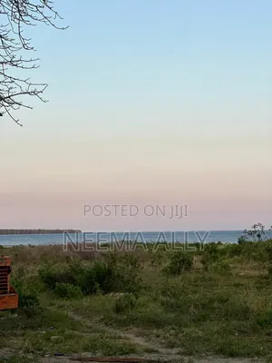 Viwanja Karibu Na Bahari (Kimbiji Sandy Beach)