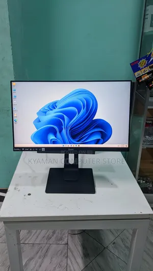 Iyama Monitor Fremless 24nch