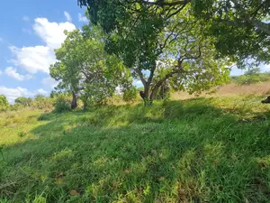 Campsite Plot for Sale Vumilia Ukooni Kigamboni