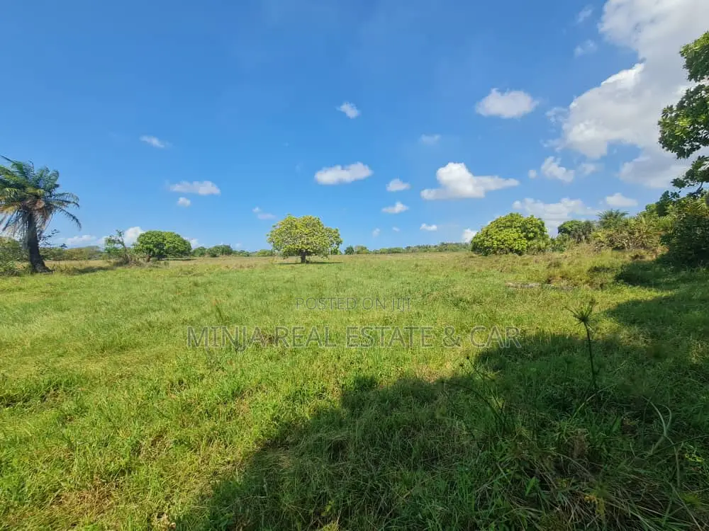 Campsite Plot for Sale Vumilia Ukooni Kigamboni