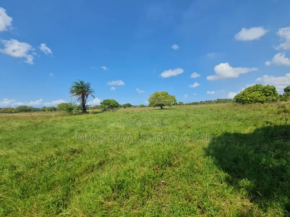 Campsite Plot for Sale Vumilia Ukooni Kigamboni