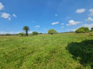 Campsite Plot for Sale Vumilia Ukooni Kigamboni