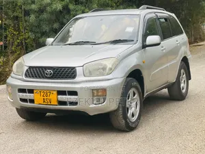 Photo - Toyota RAV4 2002 Silver