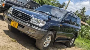 Toyota Land Cruiser 2005 Blue