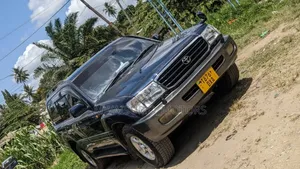 Toyota Land Cruiser 2005 Blue