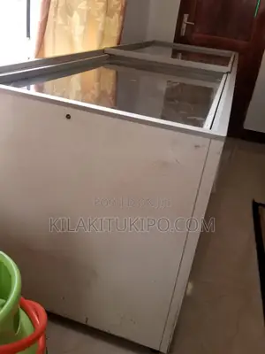 The Biggest Freezer 900L