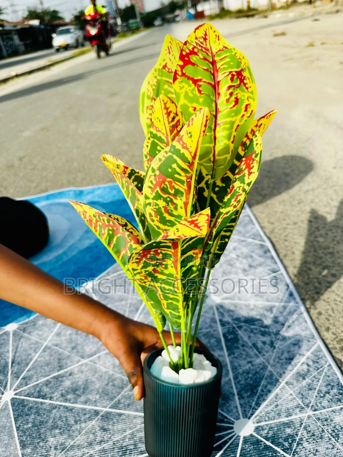 Maua Artificial