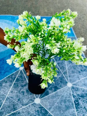 Maua Artificial