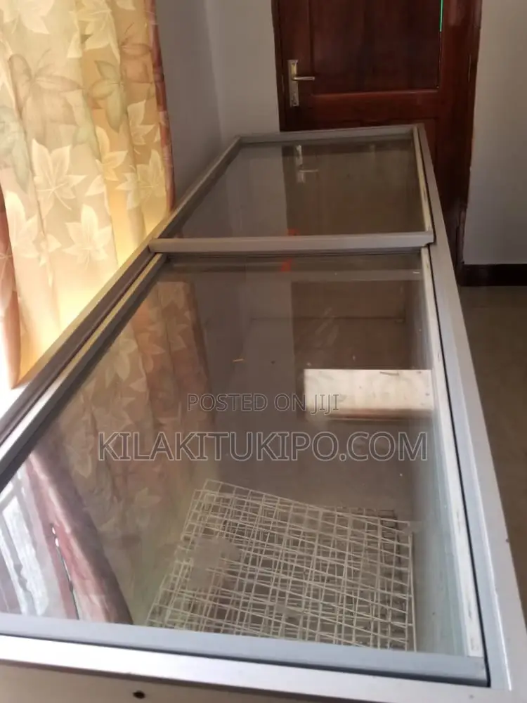 The Biggest Freezer 900L