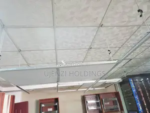 Ceiling- Suspended False Ceiling Available in TANZANIA 