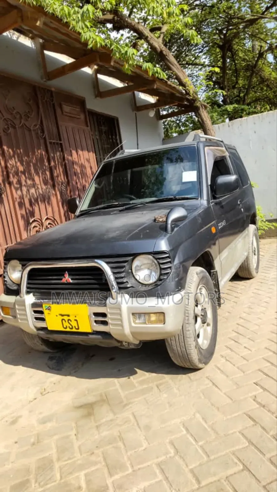 Mitsubishi Pajero 2000 Gray