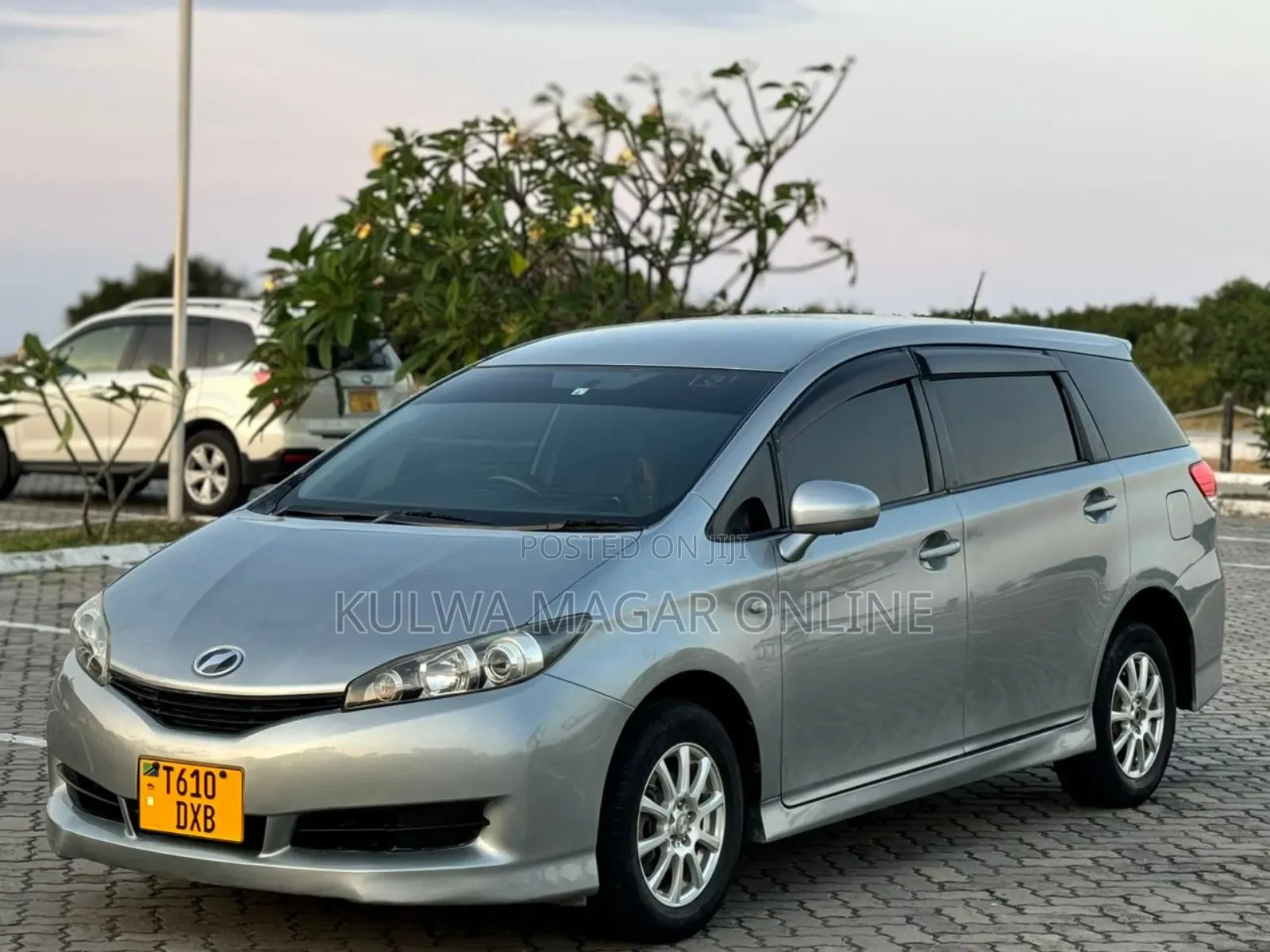 Toyota Wish 2010 Silver