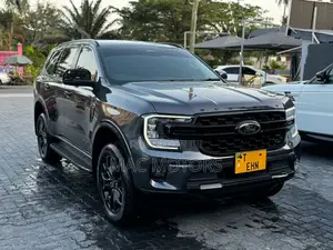Ford Everest 2023 Gray