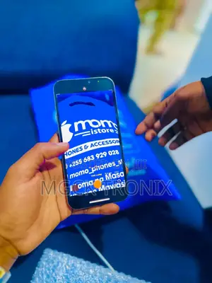 bApple iPhone 12 Pro Max 128 GB Blue