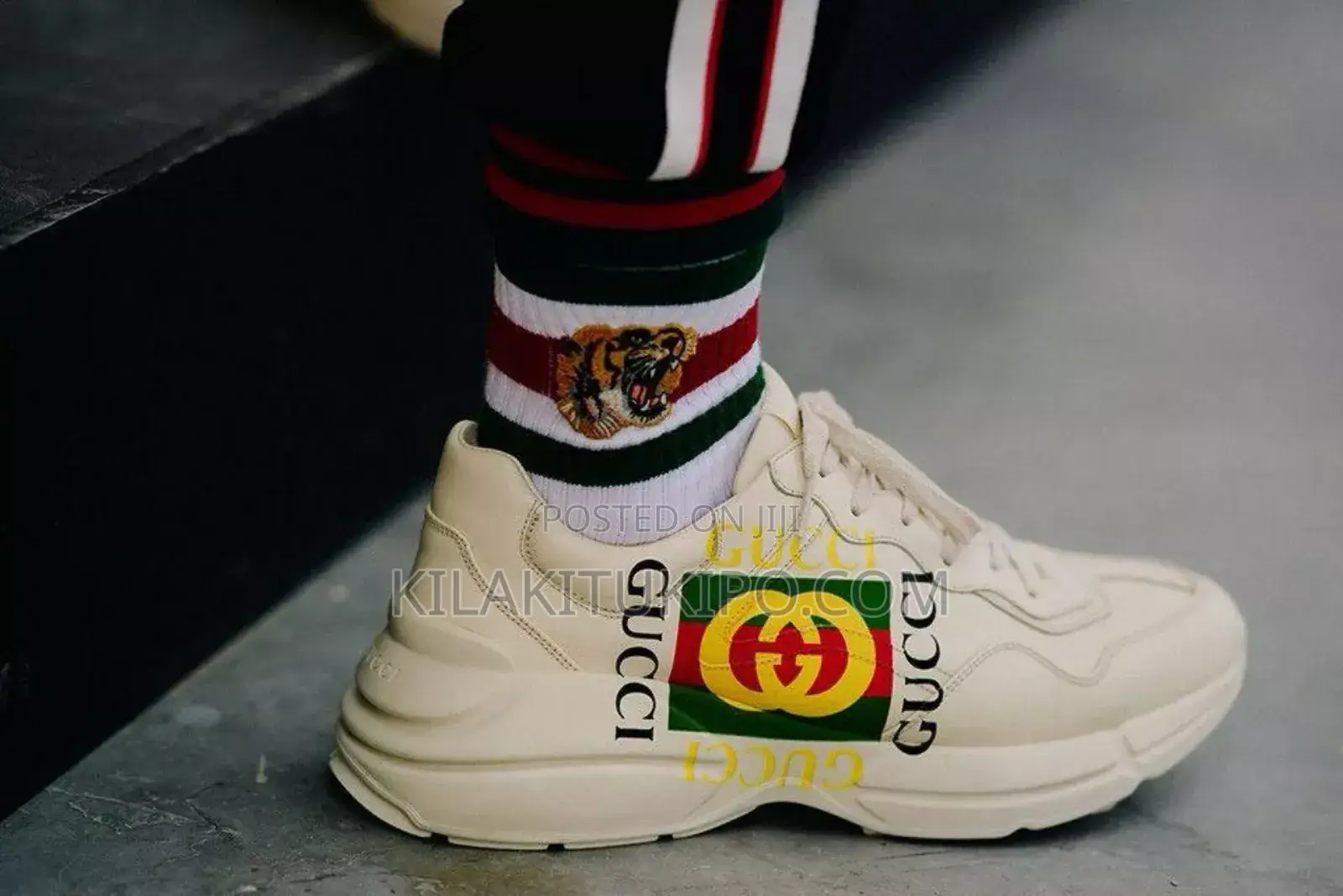 Gucci Sneaker Original