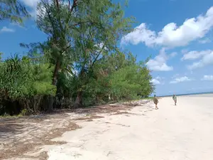 Beach Plot for Sale Banja Island in Mafia, Pwani
