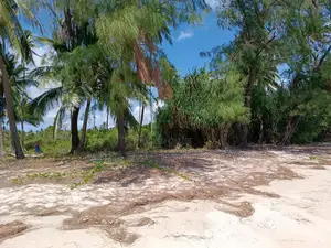 Beach Plot for Sale Banja Island in Mafia, Pwani