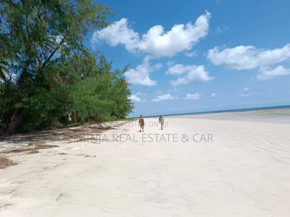 Beach Plot for Sale Banja Island in Mafia, Pwani