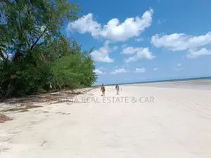 Beach Plot for Sale Banja Island in Mafia, Pwani
