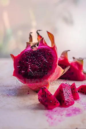 Miche Ya Dragon Fruits