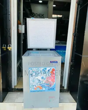 Boss Freezer/Friza Be 100L Ss