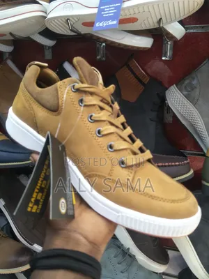 Mens Shoes Caterpillar Material Leather