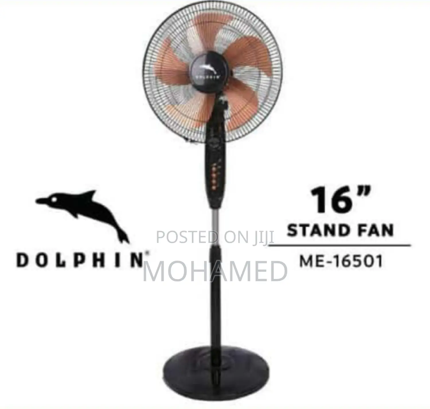 Dolphin Fan/Feni 16 Size