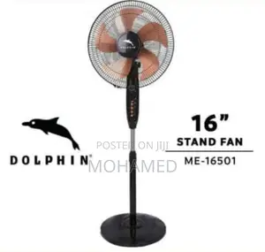 Dolphin Fan/Feni 16 Size