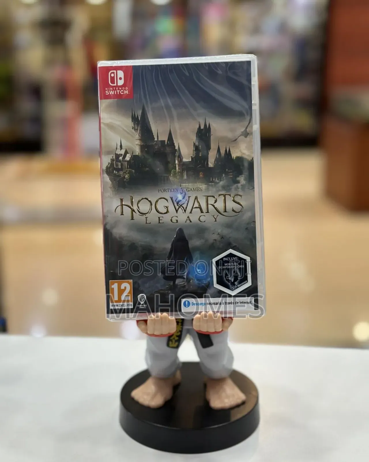 Hogwarts Legacy for Nintendo Switch