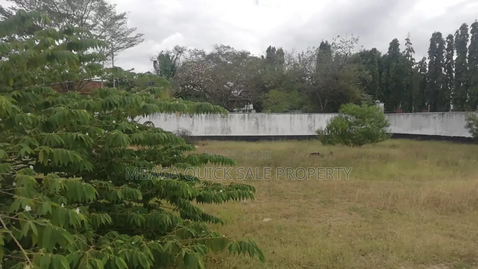 Plot for Sale at Oyster Corner