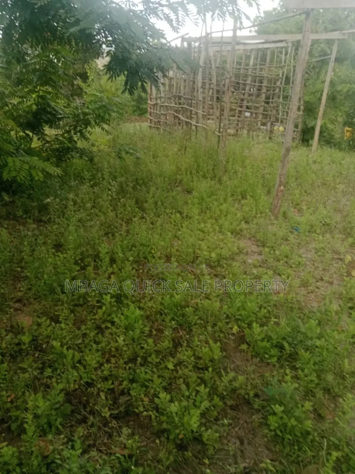 Plot for Sale at Goba Lastanza