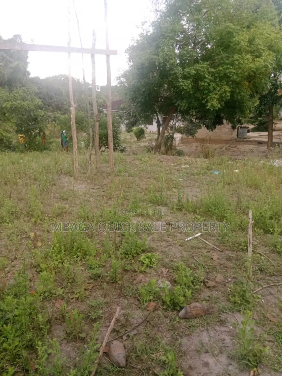 Plot for Sale at Goba Lastanza