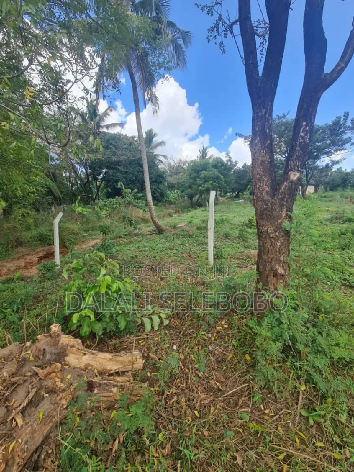 Commercial Property 4 Sale We Look Main Road