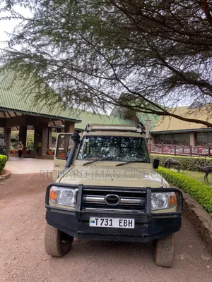 Photo - Toyota Land Cruiser 2008 Beige