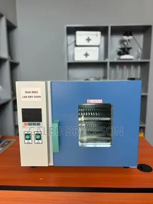 Lab Dry Oven