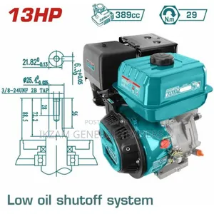 Engine Petrol 13.0hp (Total Brand)