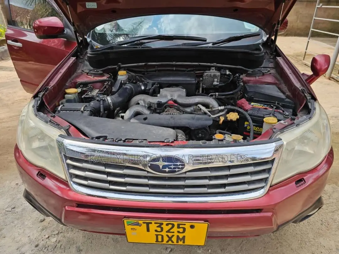 Subaru Forester 2009 Purple