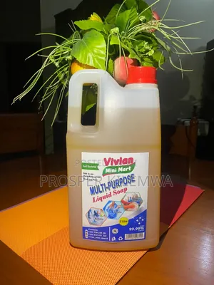 Multiporpose Water Soap 5liters and 3 Liters