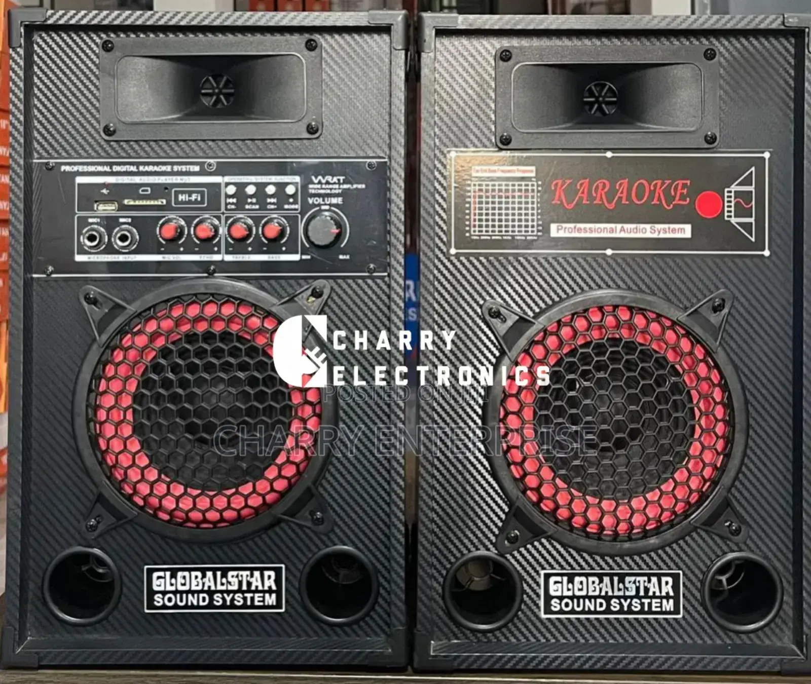 GLOBAL-STAR Professional KARAOKE Speaker With Mic 6 Inch