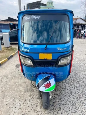 Bajaj Avenger 200 2024 Blue