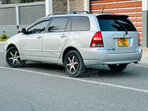 Toyota Corolla Fielder 2006 Silver