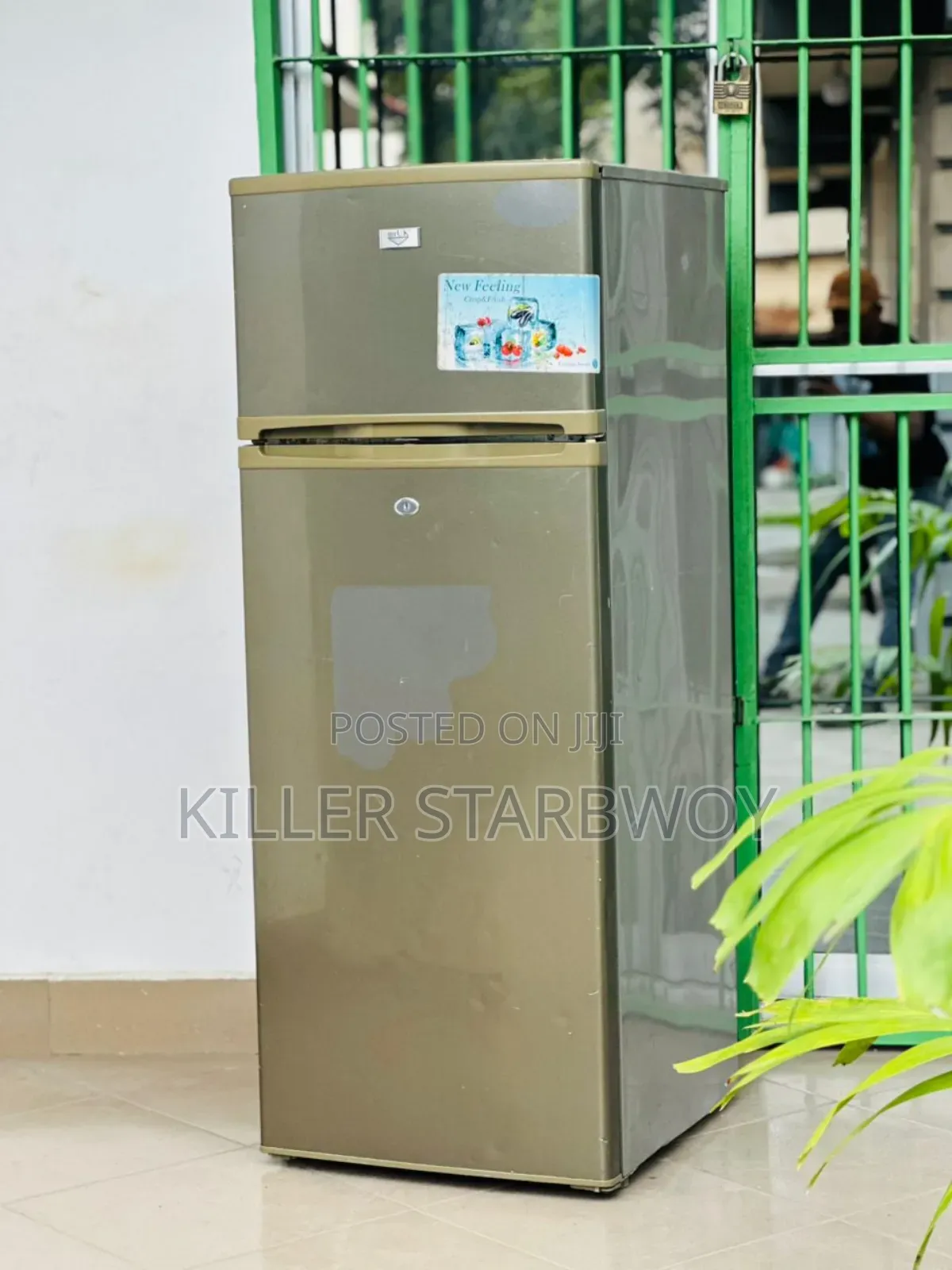 Fridge Lita 200