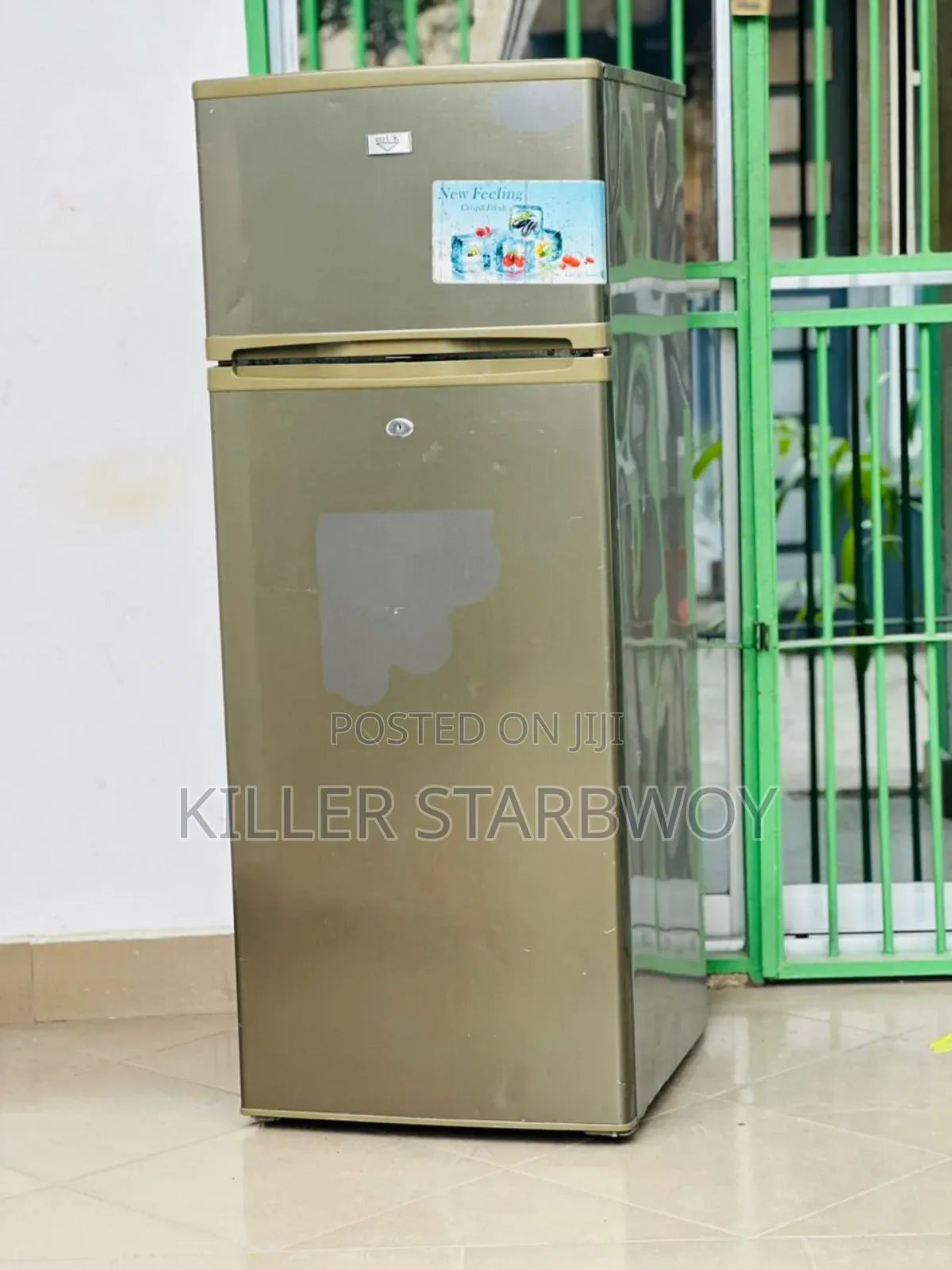 Fridge Lita 200