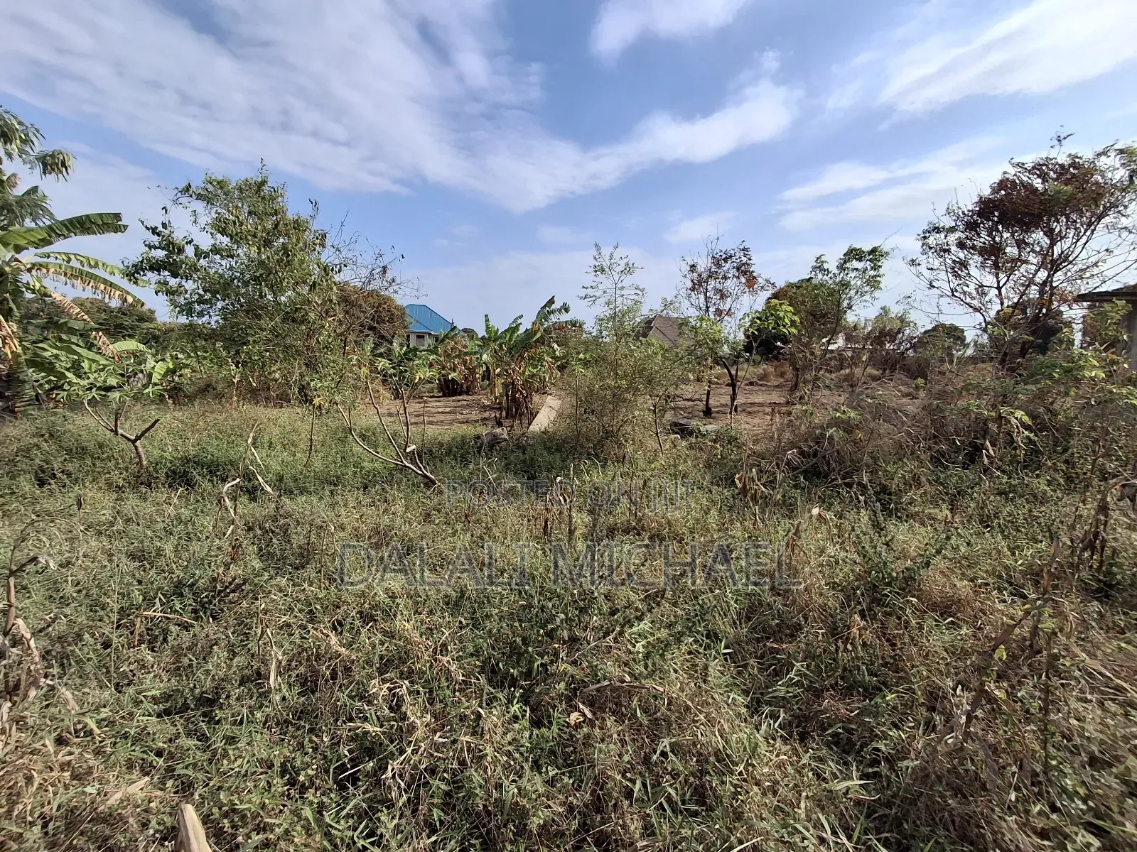 Plot for Sale Mabwepande Tba