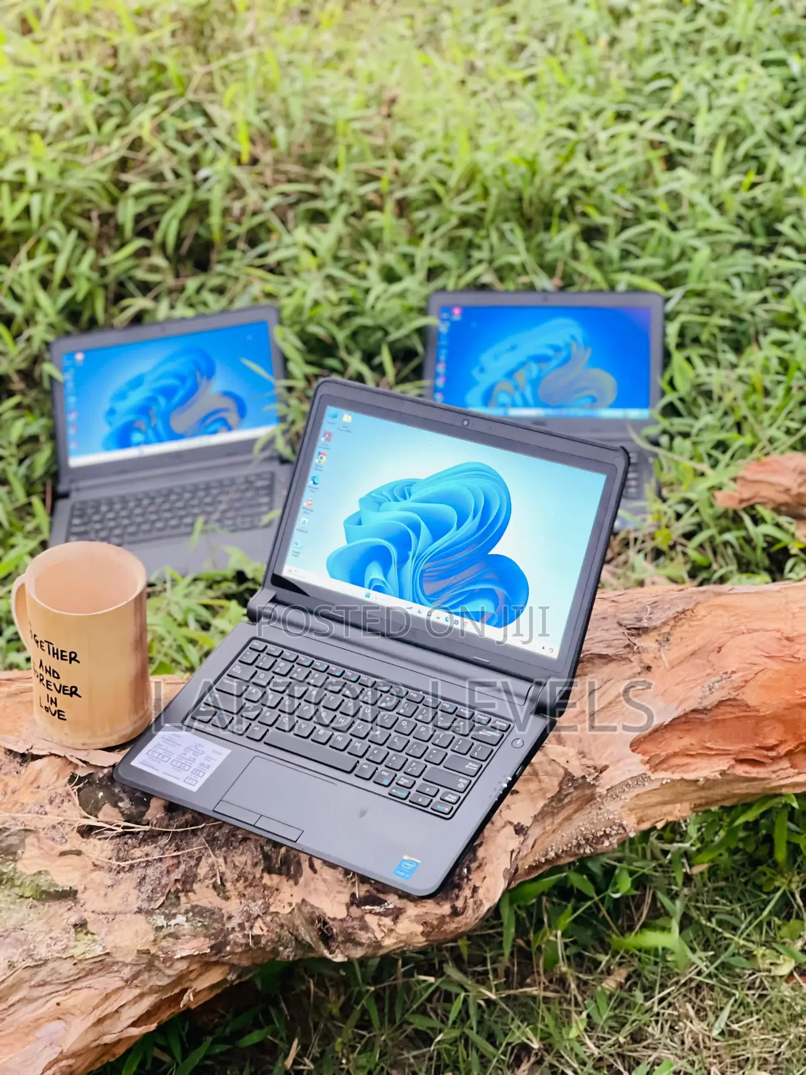 Laptop Dell Latitude 13 3340 8GB Intel Core I3 HDD 500GB