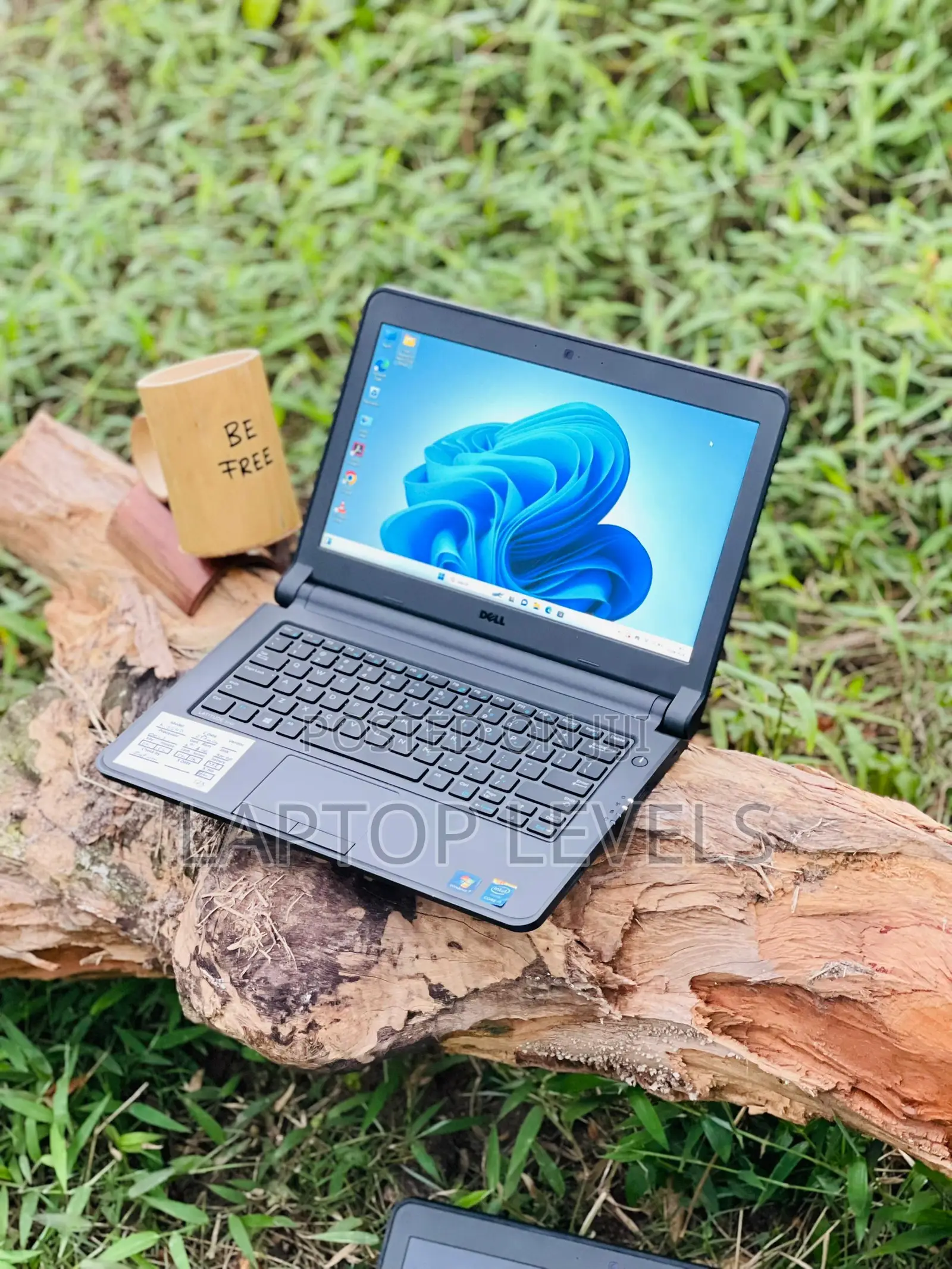 Laptop Dell Latitude 13 3340 8GB Intel Core I3 HDD 500GB