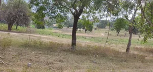 Viwanja Vinauzwa Ndani Ya Heka 16 Madale