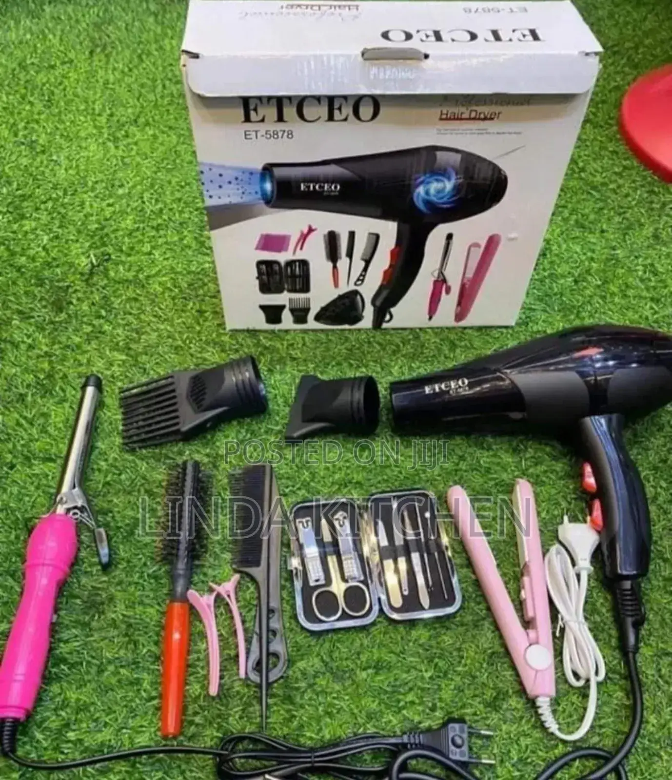 Etceo Professional Hair Dryer