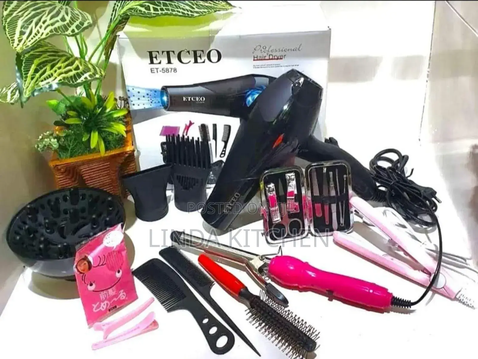 Etceo Professional Hair Dryer